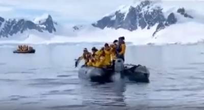 Видео: пингвин спасся от косатки, запрыгнув к туристам в лодку в Антарктиде