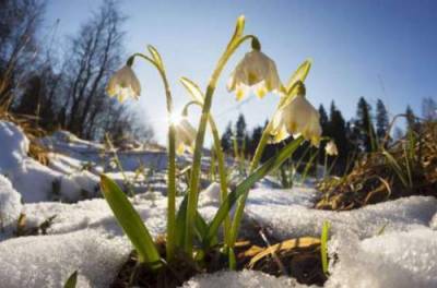 10 марта в Украине будет холодно, зато без осадков