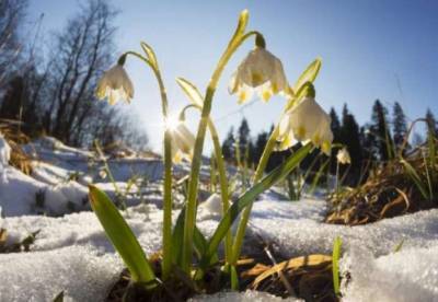 Прогноз погоды на 10 марта: в Украине будет холодно, зато без осадков