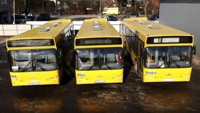 Фото: автобусный парк обновился в Кировском районе