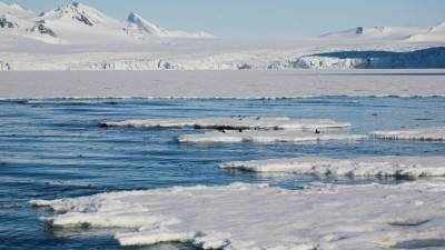 Эксперты назвали условия победы США в Арктике