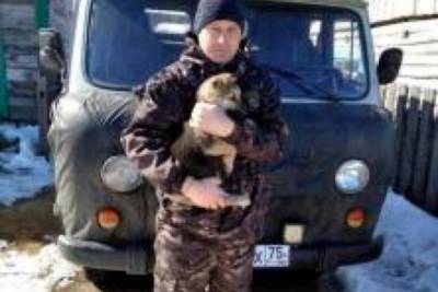Судебный пристав в Забайкалье спас замерзавшего на дороге щенка