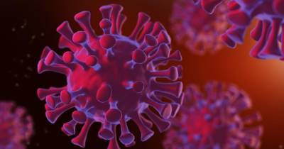 США классифицировали коронавирус как «биооружие» - ren.tv - Ухань