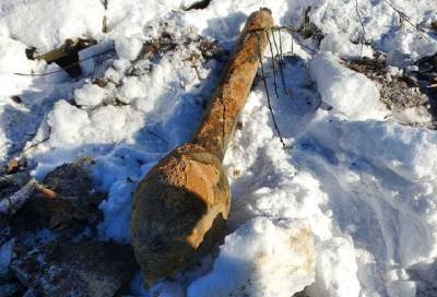 Фото: взрывоопасный фугасный снаряд нашли на садовом участке в Кировском районе