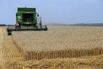 Минсельхоз США вновь сохранил прогноз экспорта пшеницы из РФ в этом сельхозгоду