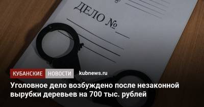 Уголовное дело возбуждено после незаконной вырубки деревьев на 700 тыс. рублей