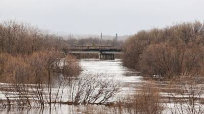 В Воронеже назвали места возможного подтопления во время паводка
