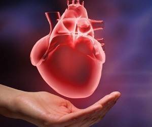 Роль витаминов в профилактике инфаркта