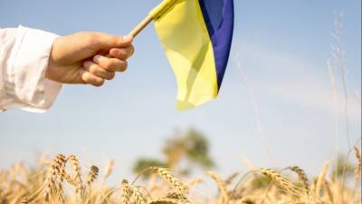 Полная деградация: Украина может лишиться главного национального достояния