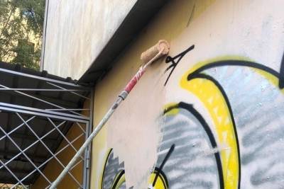 В Центральном районе хотят закрасить почти 100 граффити
