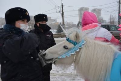 В Иванове взялись за конезаводчиков, оказывающих услуги по катанию детворы на лошадках
