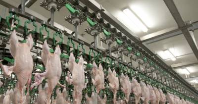 Украина может остаться без куриного мяса — Европейская бизнес ассоциация