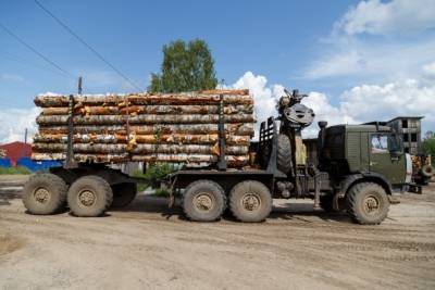 В Коми реализуют новую программу для малого бизнеса «Проекты лесной промышленности»