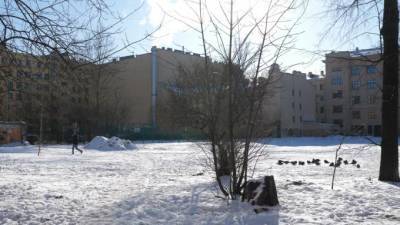 На месте захоронения строителей Петербурга может появиться общественный сад