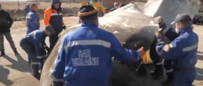 Украина, Великобритания, Канада и Швеция сделали заявление по трагедии с самолетом МАУ