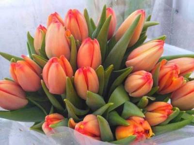 Мэр Днепра Филатов накупил цветов на 8 марта по космическим ценам почти на полтора миллиона