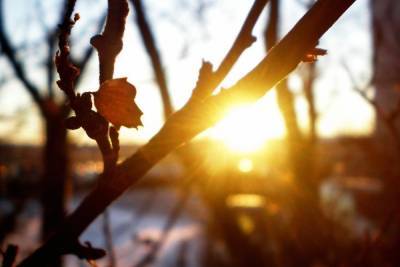 Синоптики обещают, что в выходные в Ивановскую область придет настоящая весна