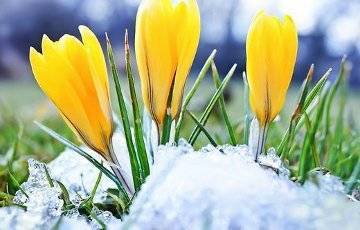 Уже на этой неделе в Беларусь придет настоящая весна