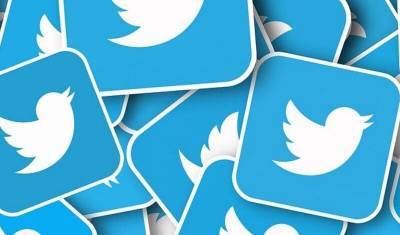 Начавшиеся проблемы сайтов российских госорганов связали с замедлением Twitter