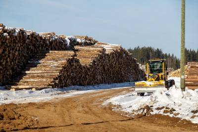 В Коми реализуют новую программу для малого бизнеса "Проекты лесной промышленности"