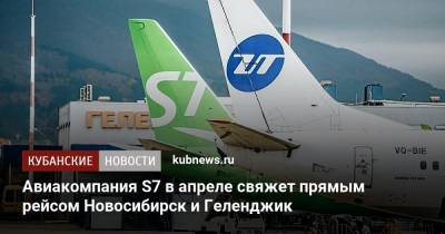 Авиакомпания S7 в апреле свяжет прямым рейсом Новосибирск и Геленджик