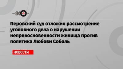 Перовский суд отложил рассмотрение уголовного дела о нарушении неприкосновенности жилища против политика Любови Соболь