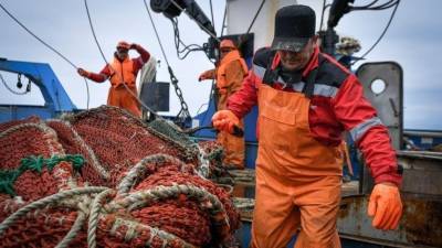 Мы это не едим: жадные рыбаки выбрасывают на берег тонны промысловой рыбы