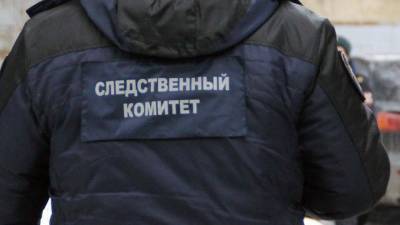 В Новосибирске арестован обвиняемый в убийстве 17-летней девушки из-за денег на дозу