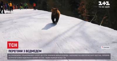 Медведь вышел из леса и напугал лыжников на горнолыжном курорте в Румынии