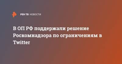 Сергей Рыбальченко - В ОП РФ поддержали решение Роскомнадзора по ограничениям в Twitter - ren.tv