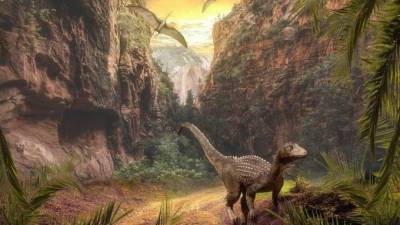 В Китае впервые в мире нашли останки окаменелого динозавра, сидящего на кладке яиц