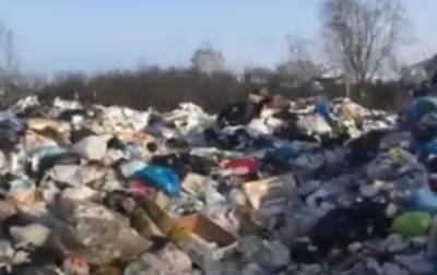 Прокуратура нашла ответственного за свалку мусора в центре Вагая