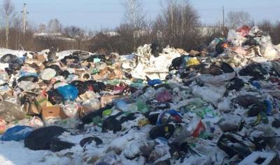 Незаконный пункт складирования мусора выявили около Тобольска