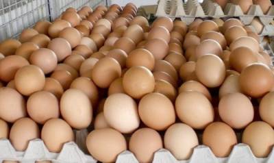 В Казахстане причиной бешеного подорожания яиц мог быть ценовой сговор