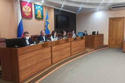 Депутаты поддержали проект Правил благоустройства и содержания территории города Тамбова