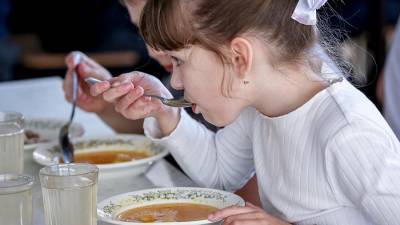 В РФ запланировали привлечь частные средства для организации питания в школах
