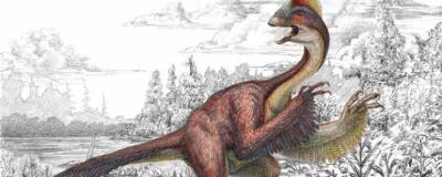 В Китае нашли останки динозавра, сидящего на кладке яиц