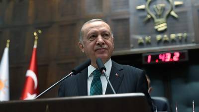 Эрдоган заявил о желании сотрудничать с Россией по проблемам в регионе