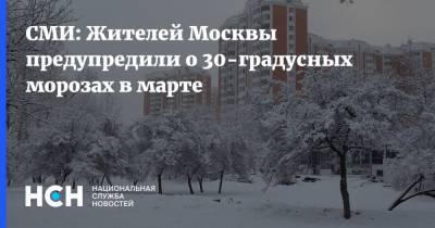СМИ: Жителей Москвы предупредили о 30-градусных морозах в марте