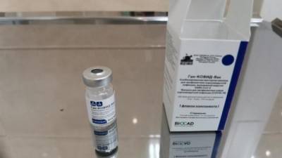 Piter.tv: меньше всего доз вакцины от COVID-19 осталось в Василеостровском районе