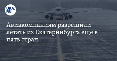 Авиакомпаниям разрешили летать из Екатеринбурга еще в пять стран. Обновленный список