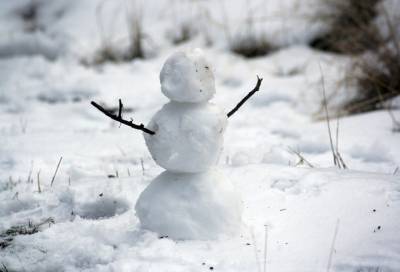 МЧС предупреждает о морозах до -33 градусов в Ленобласти