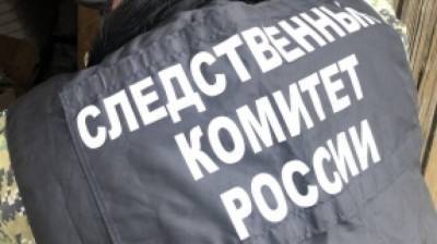 Полиция Иркутска скрутила грабителя, который пять лет назад убил девушку из-за сумки