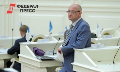 Комиссия по этике заксобрания Петербурга займется депутатом Резником