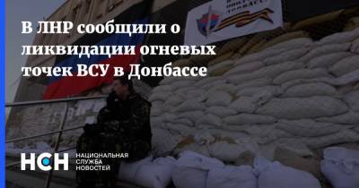 В ЛНР сообщили о ликвидации огневых точек ВСУ в Донбассе