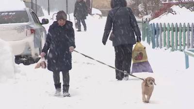 В Омске за 8 часов выпало рекордное количество снега