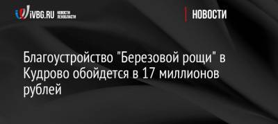 Благоустройство «Березовой рощи» в Кудрово обойдется в 17 миллионов рублей