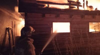 В страшном пожаре под Ярославлем погибли 20 животных: что случилось и где