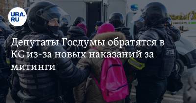 Депутаты Госдумы обратятся в КС из-за новых наказаний за митинги. «Противоречат Конституции»