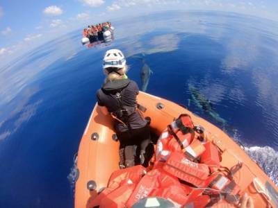 В Средиземном море утонули 39 нелегальных мигрантов